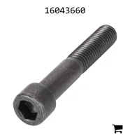 AGCO 16043660 Винт
