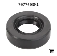 AGCO 7077603M1 Масляный сальник