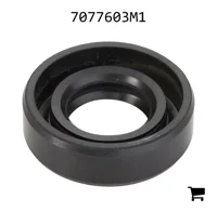 AGCO 7077603M1 Масляный сальник