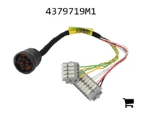 AGCO 4379719M1 Жгут