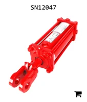 AGCO SN12047 Гидравлический цилиндр