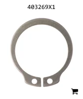 AGCO 403269X1 Стопорное кольцо