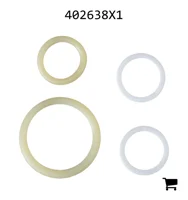 AGCO 402638X1 Ремкомплект