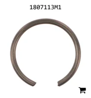 AGCO 1807113M1 Кольцо