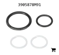 AGCO 3905878M91 Комплект уплотнений