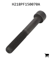 AGCO H218PF150070A Болт с цилиндрической головкой