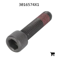 AGCO 3016574X1 Винт с внутренним шестигранником