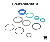 AGCO F260920020010 Ремкомплект цилиндра