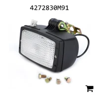 AGCO 4272830M91 Фонарь рабочего света задний в сборе