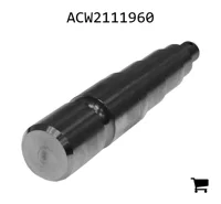 AGCO ACW2111960 Шпиндель