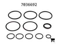 AGCO 7036692 Комплект уплотнений