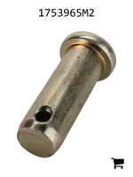 AGCO 1753965M2 Палец