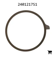 AGCO 2401217S1 Тормозной диск