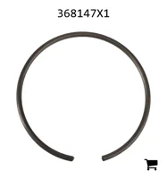 AGCO 368147X1 Кольцо