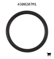 AGCO 4300207M1 Уплотнительное кольцо