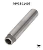 AGCO 40V3891403 Направляющая