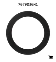 AGCO 7079030M1 Шайба