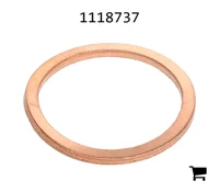 AGCO 1118737 Сальник конечной передачи