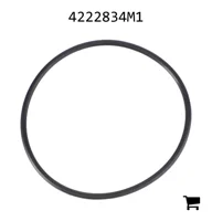 AGCO 4222834M1 Уплотнительное кольцо