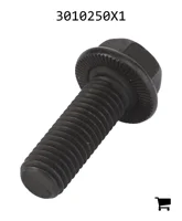 AGCO 3010250X1 Болт с шестигранной головкой и фланцем