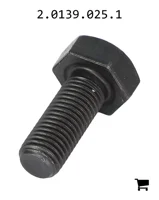 AGCO 2.0139.025.1 Винт