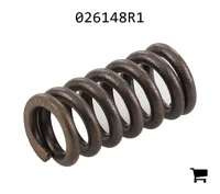AGCO 026148R1 Пружина