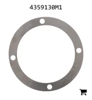 AGCO 4359130M1 Регулировочная шайба
