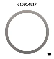 AGCO 013014817 Шайба