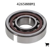 AGCO 4265008M1 Роликовый подшипник