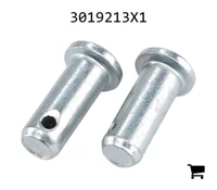 AGCO 3019213X1 Палец вилки