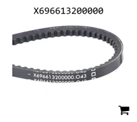 AGCO X696613200000 Ремень клиновой