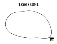 AGCO 1860838M1 Уплотнительное кольцо дифференциала, Ø 316 X 2,60 мм
