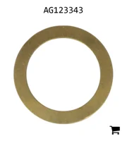 AGCO AG123343 Шайба