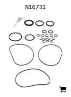AGCO N16731 Ремкомплект