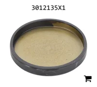 AGCO 3012135X1 Заглушка