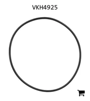 AGCO VKH4925 Уплотнительное кольцо