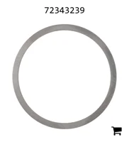 AGCO 72343239 Диск