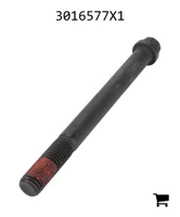 AGCO 3016577X1 Винт с 12-гранной головкой с фланцем