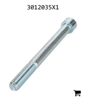 AGCO 3012035X1 Винт с цилиндрической головкой и шестигранным углублением