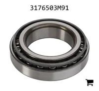 AGCO 3176503M91 Подшипник