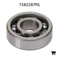 AGCO 7102287M1 Шариковый подшипник