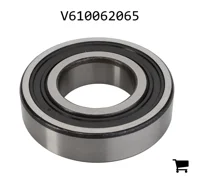 AGCO V610062065 Шариковый подшипник