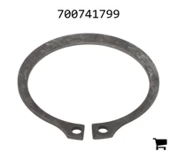 AGCO 700741799 Стопорное кольцо
