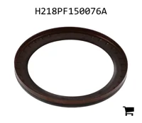 AGCO H218PF150076A Уплотнительная шайба