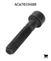 AGCO ACW7039480 Винт с цилиндрической головкой и шестигранным углублением