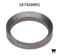 AGCO 1874680M2 Кольцо