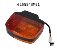 AGCO 6255543M91 Лампа