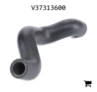 AGCO V37313600 Шланг системы охлаждения