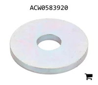 AGCO ACW0583920 Шайба