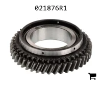 AGCO 021876R1 Комплект шестерен